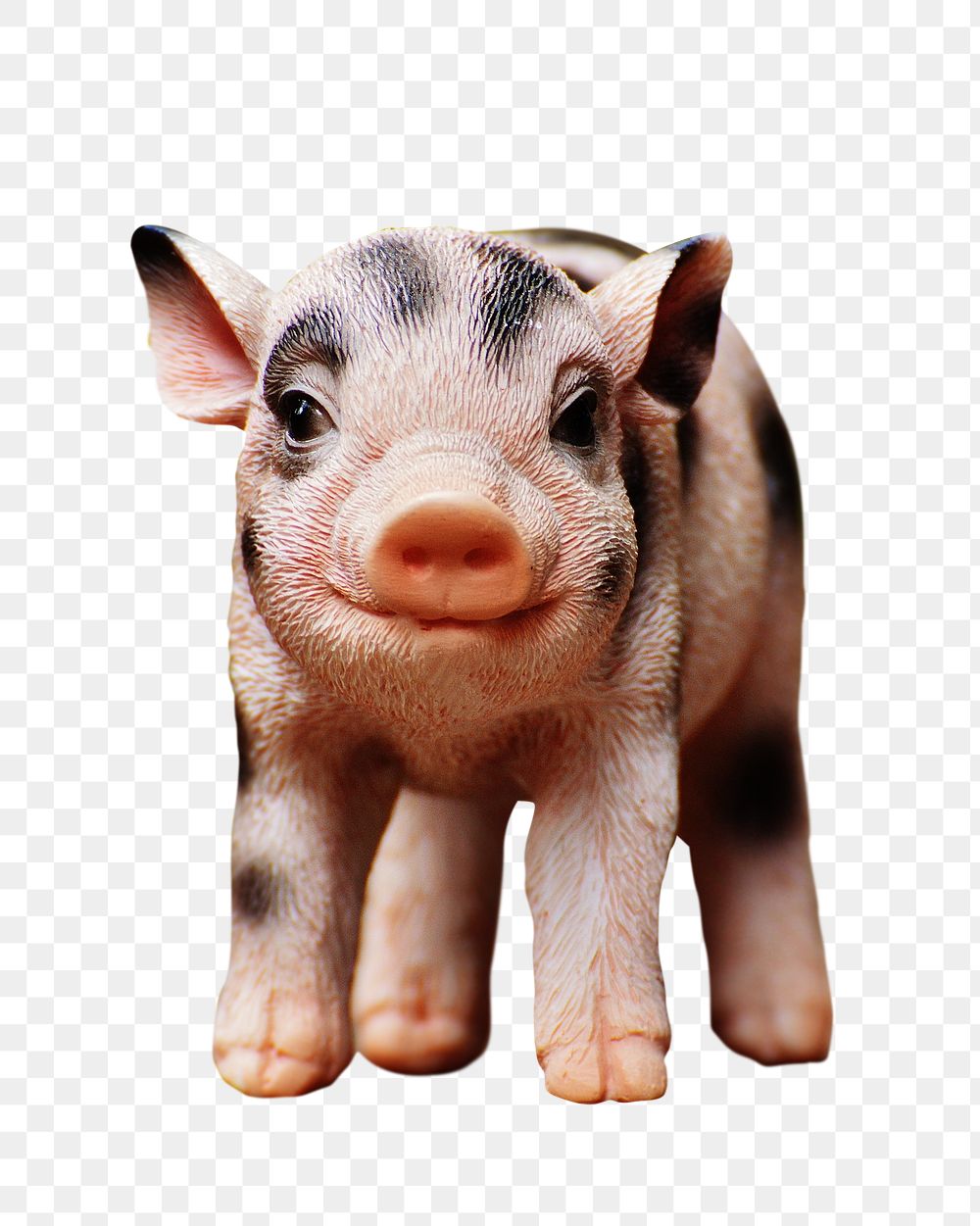Piglet png farm animal sticker, transparent background