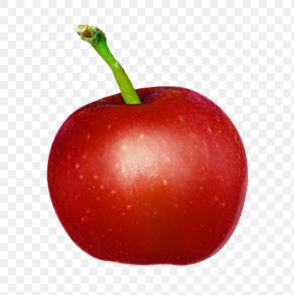 Png apple fruit sticker, transparent background