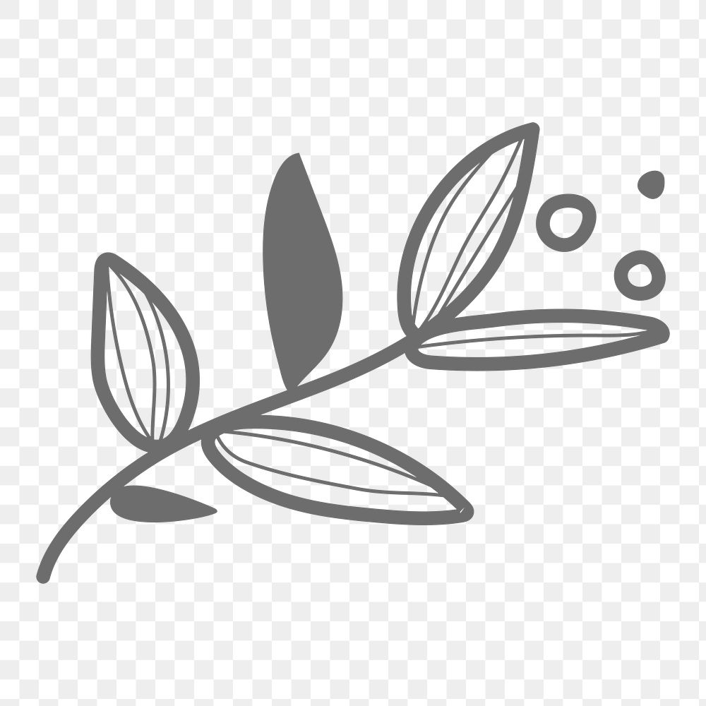 Leaf png doodle sticker, transparent background