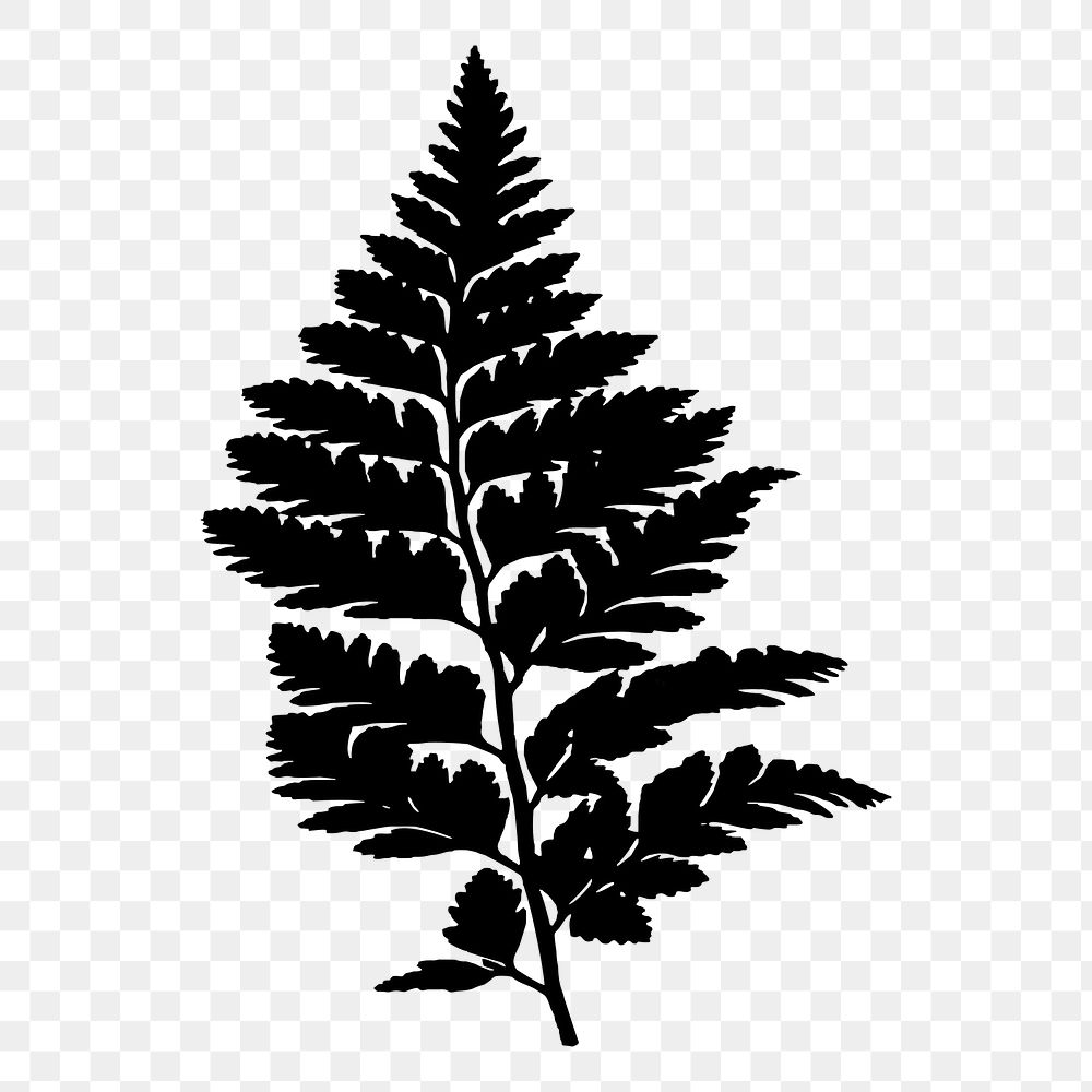 Leaf png sticker, transparent background. Free public domain CC0 image.