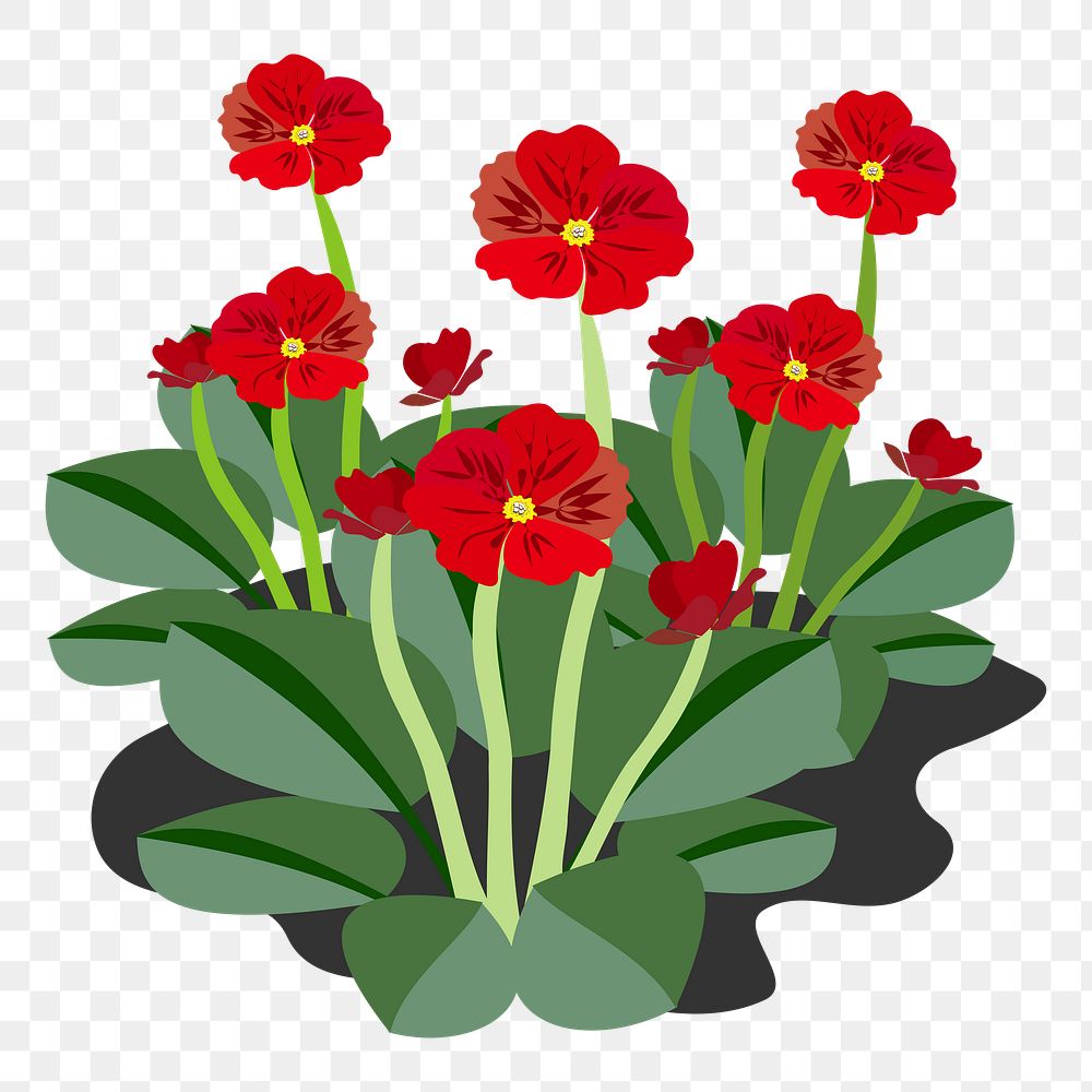 Flower png sticker, transparent background. Free public domain CC0 image.