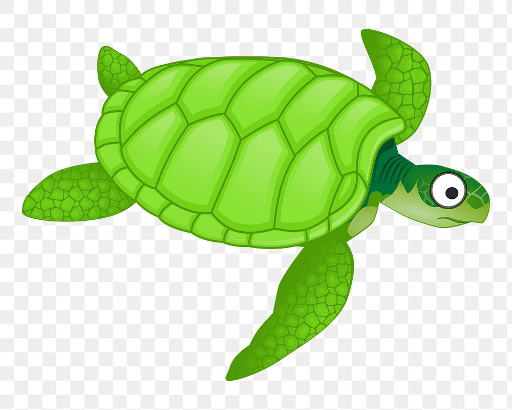 Green turtle png illustration, transparent background. Free public domain CC0 image.