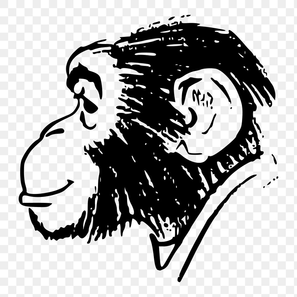 PNG chimpanzee clipart, transparent background. Free public domain CC0 image.