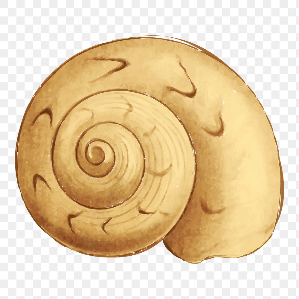 Moon shell png sticker, transparent background. Free public domain CC0 image.