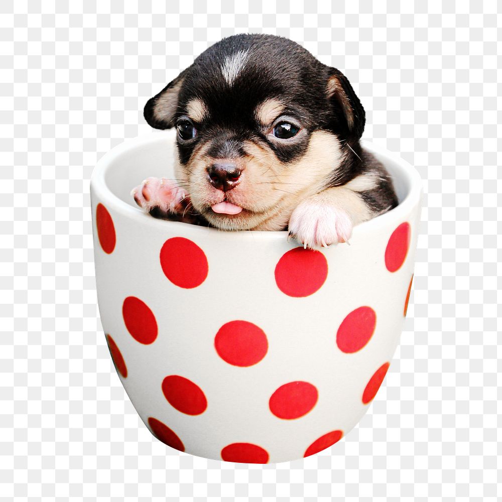 Puppy in mug png sticker, transparent background