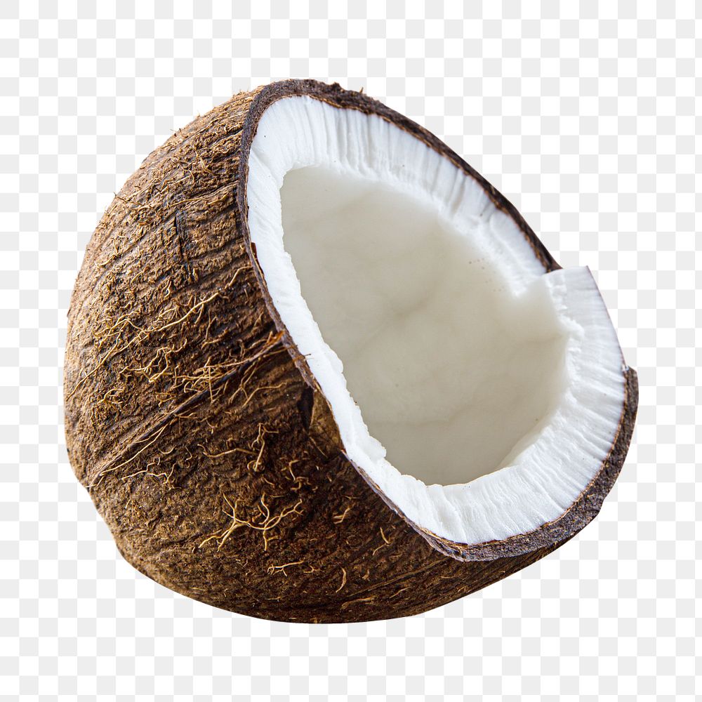 Coconut fruit png sticker, transparent background