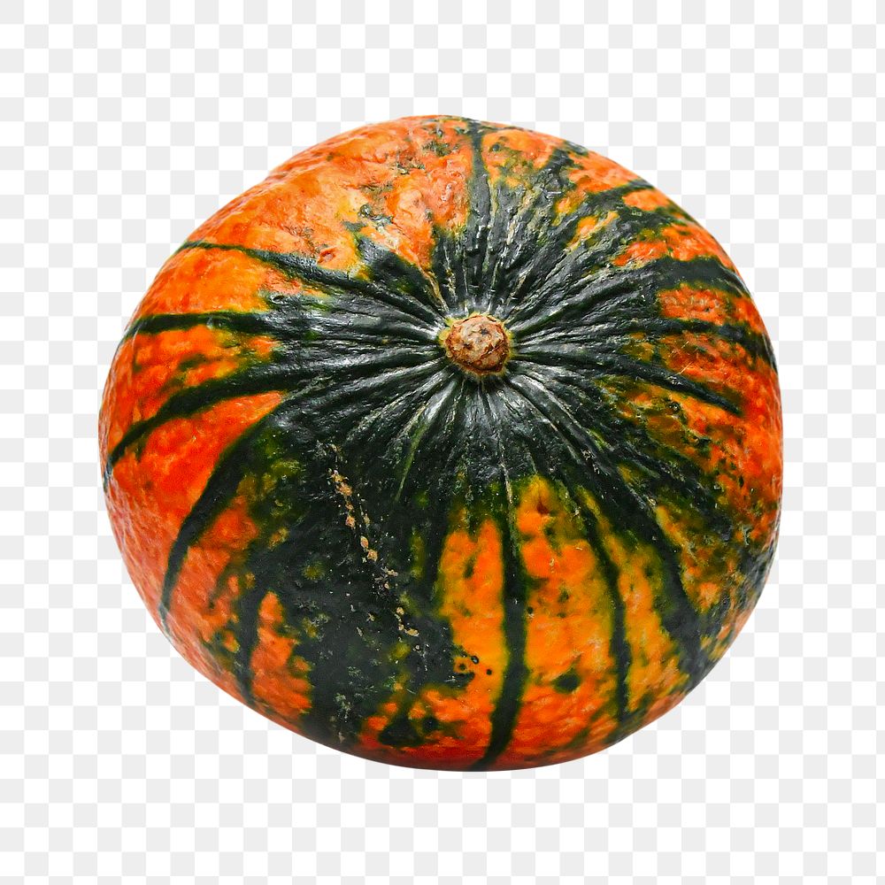 Pumpkin png fruit sticker, transparent background