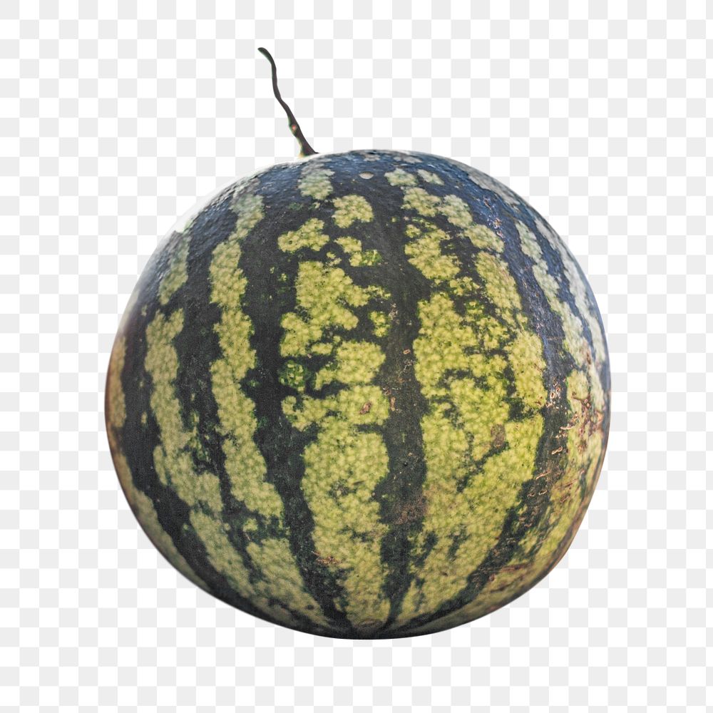 Watermelon png fruit sticker, transparent background