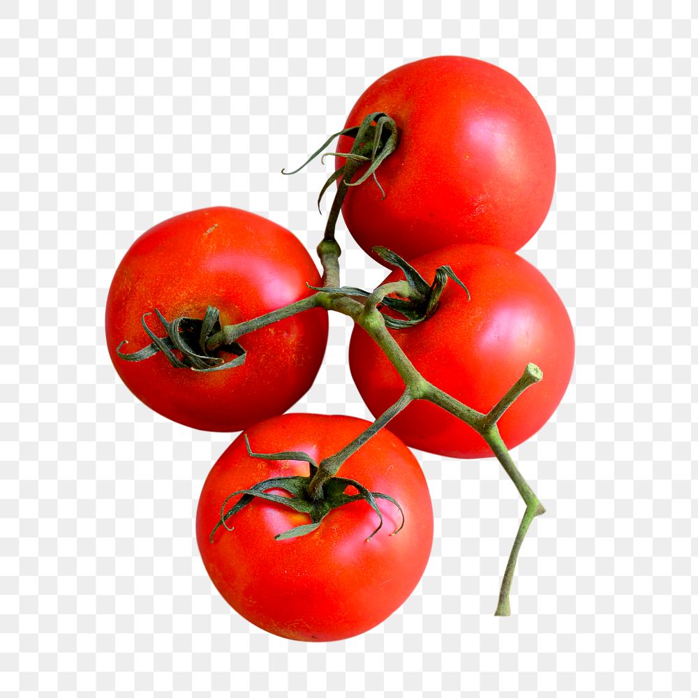 Red cherry tomatoes png vegetable sticker, transparent background