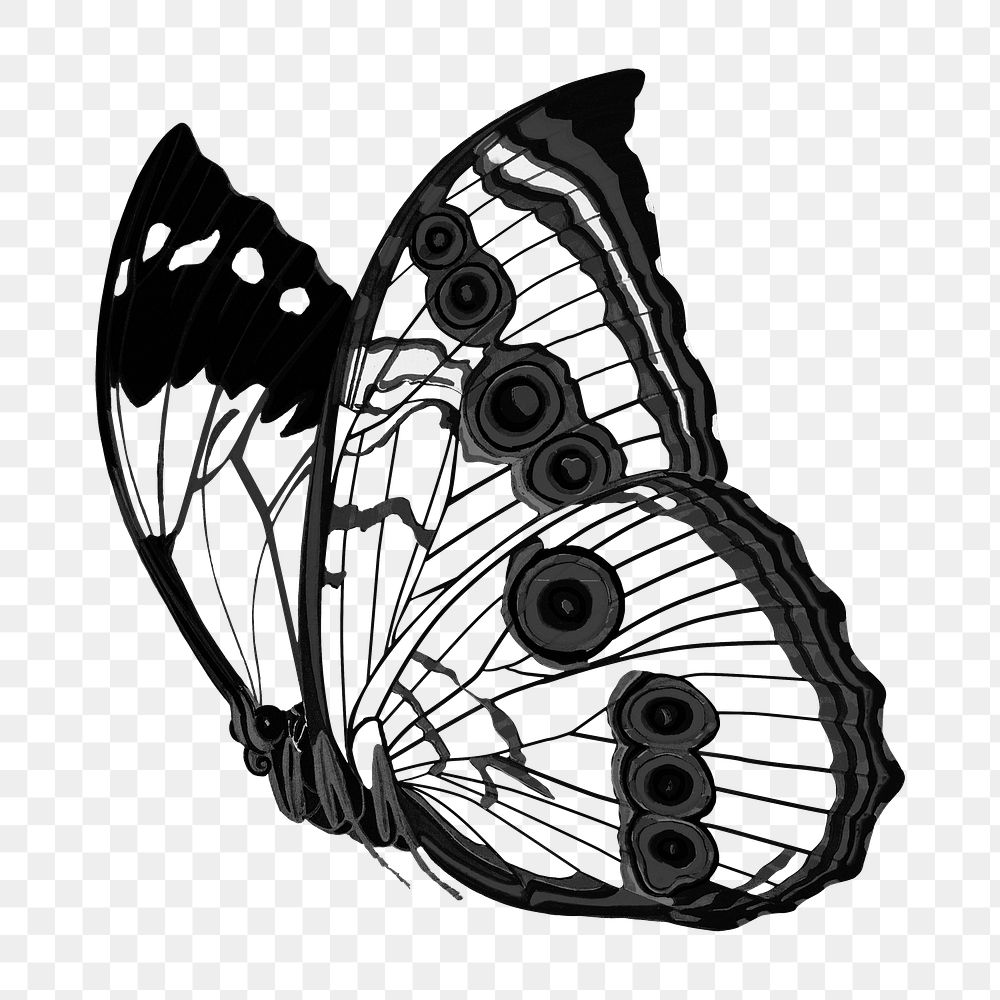 Black butterfly png sticker, vintage insect on transparent background. Remixed from the artwork of E.A. Séguy.