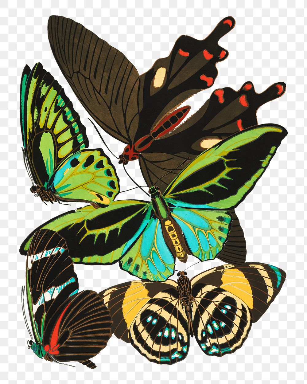 E.A. S&eacute;guy's Papillons png sticker, transparent background. Remixed by rawpixel