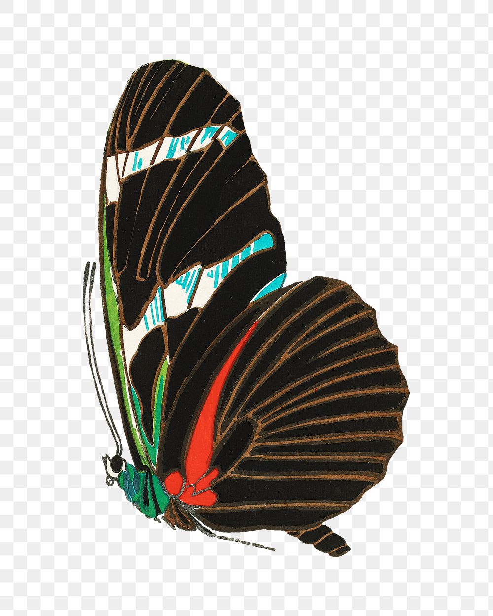 Exotic butterfly png sticker, vintage insect on transparent background. E.A. S&eacute;guy's artwork remixed by rawpixel