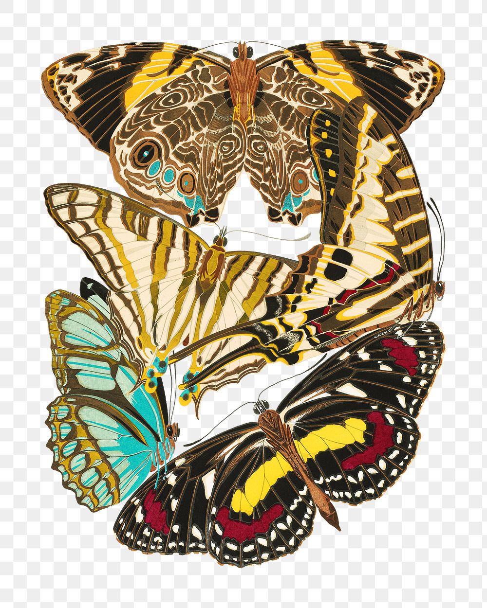 E.A. S&eacute;guy's png butterfly sticker, vintage insect set on transparent background.  Remixed by rawpixel