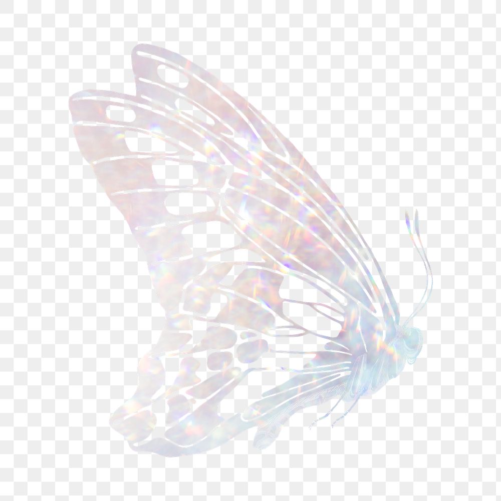 Aesthetic butterfly png sticker, holography design on transparent background. Remixed from the artwork of E.A. Séguy.