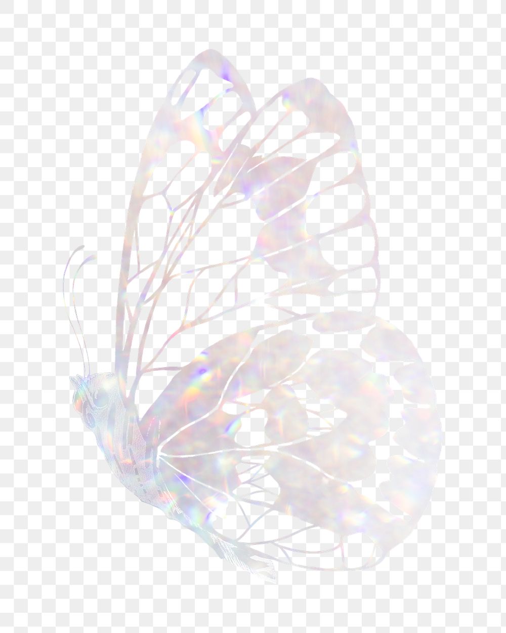 Aesthetic butterfly png sticker, holography design on transparent background. Remixed from the artwork of E.A. Séguy.