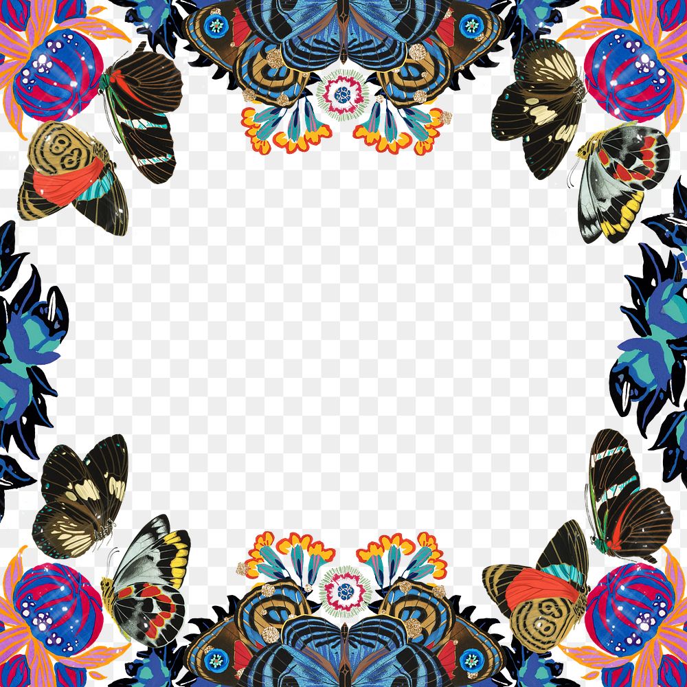 Exotic butterfly png frame, botanical illustration, transparent background.  Remixed from the artwork of E.A. Séguy.