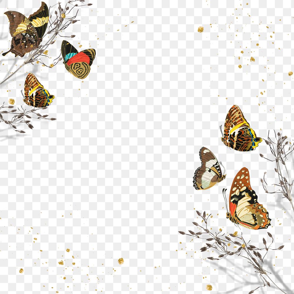 Autumn butterfly png border frame, transparent background. Remixed from the artwork of E.A. Séguy.