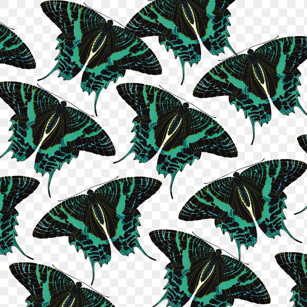 Green exotic butterfly png pattern, transparent background, remixed from the artwork of E.A. S&eacute;guy