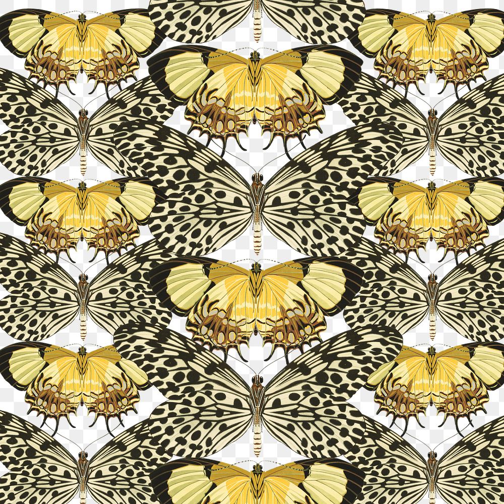 E.A. Séguy's butterfly png pattern, transparent background, remixed by rawpixel