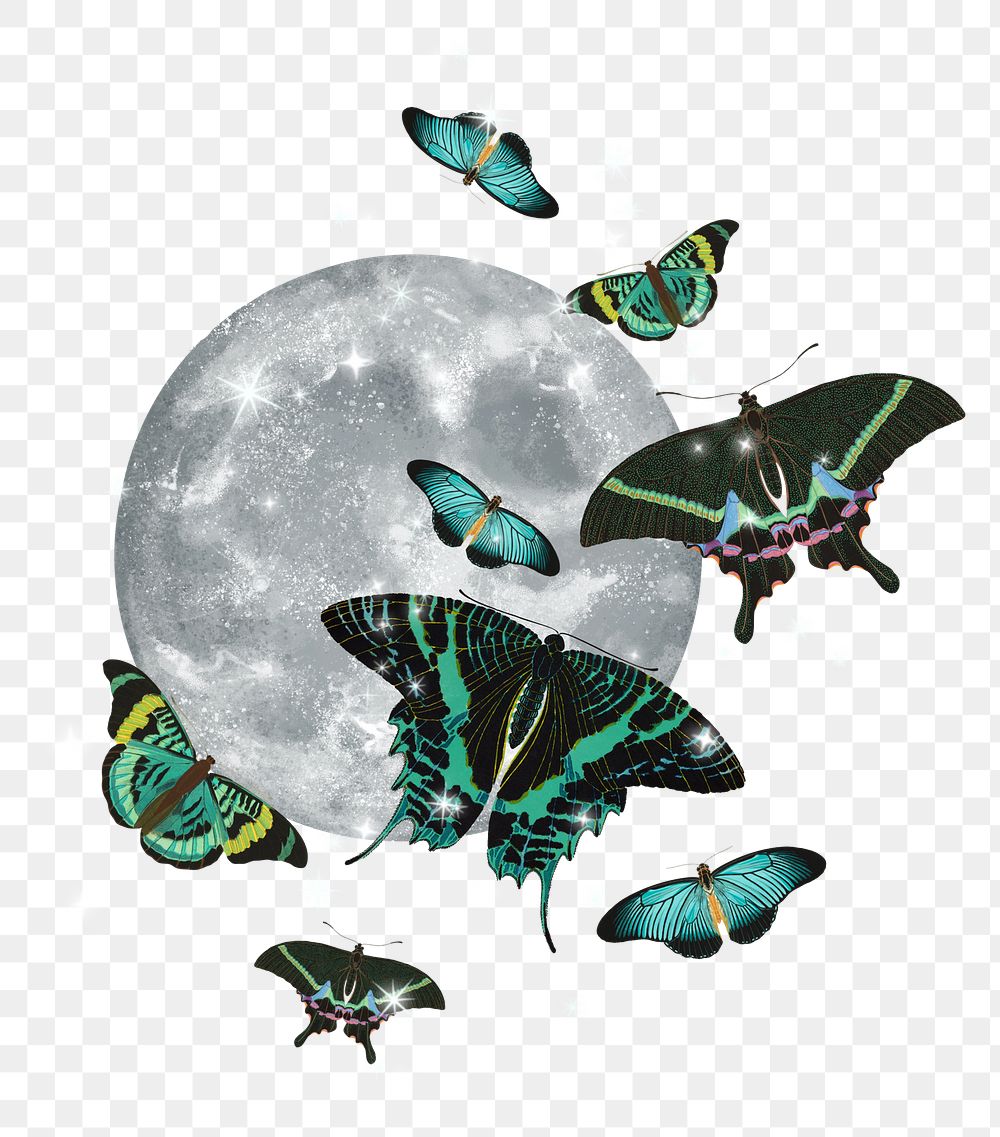 Full moon butterfly png sticker, aesthetic surreal remix on transparent background