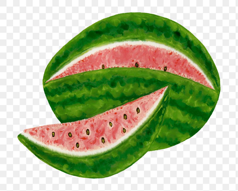 Vintage watermelon png sticker, fruit on transparent background.  Remastered by rawpixel