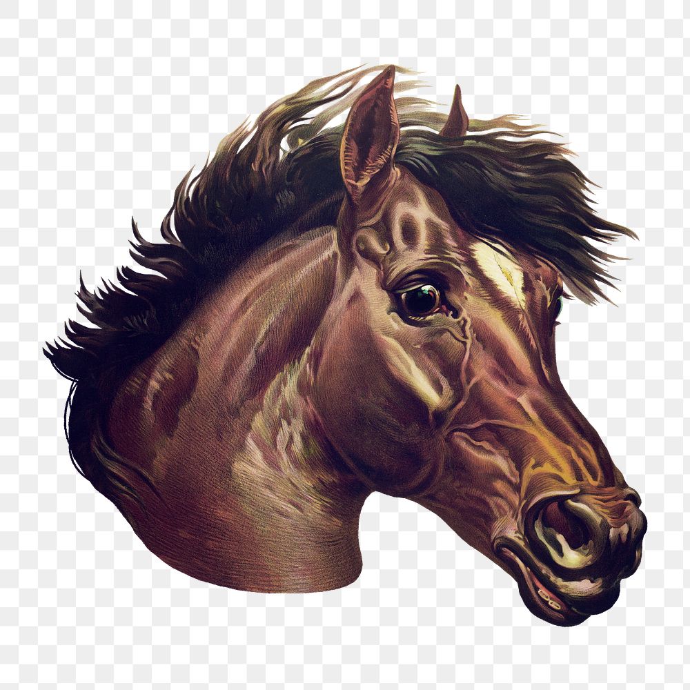 James Payn's png vintage horse, transparent background.  Remastered by rawpixel