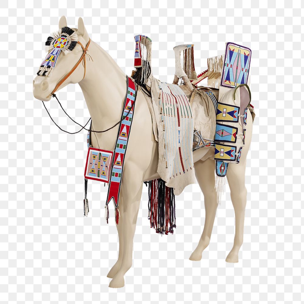 Aps&aacute;alooke's Saddle Blanket png sticker on transparent background.    Remastered by rawpixel