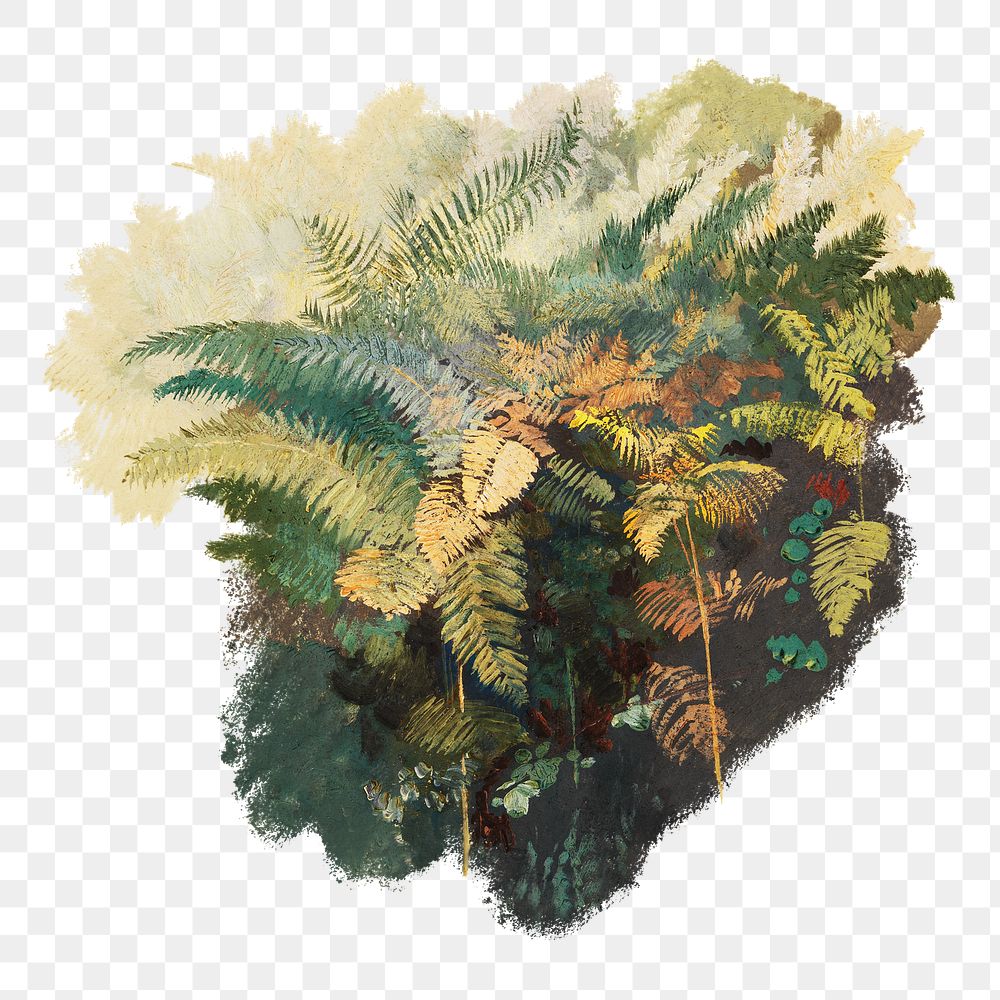A Study of Ferns png sticker, Civitella on transparent background.   Remastered by rawpixel