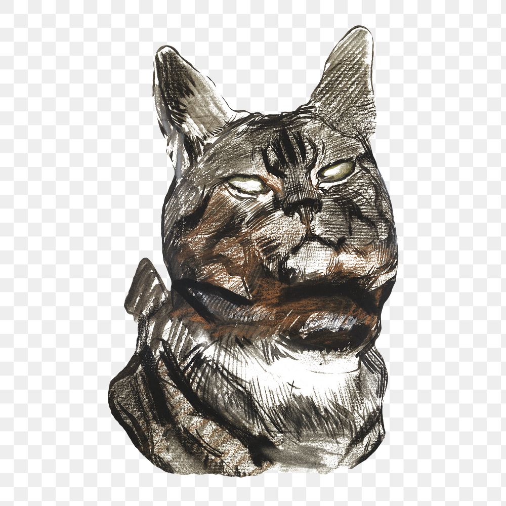 Vintage cat png sticker, illustration on transparent background.    Remastered by rawpixel
