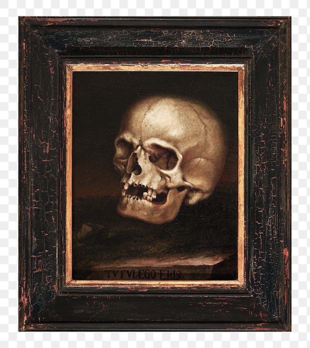 Framed Johann Dieffenbrunner's Skull png painting on transparent background, remixed by rawpixel.