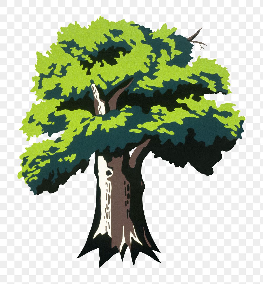 Tree png sticker, botanical, transparent background.   Remixed by rawpixel.