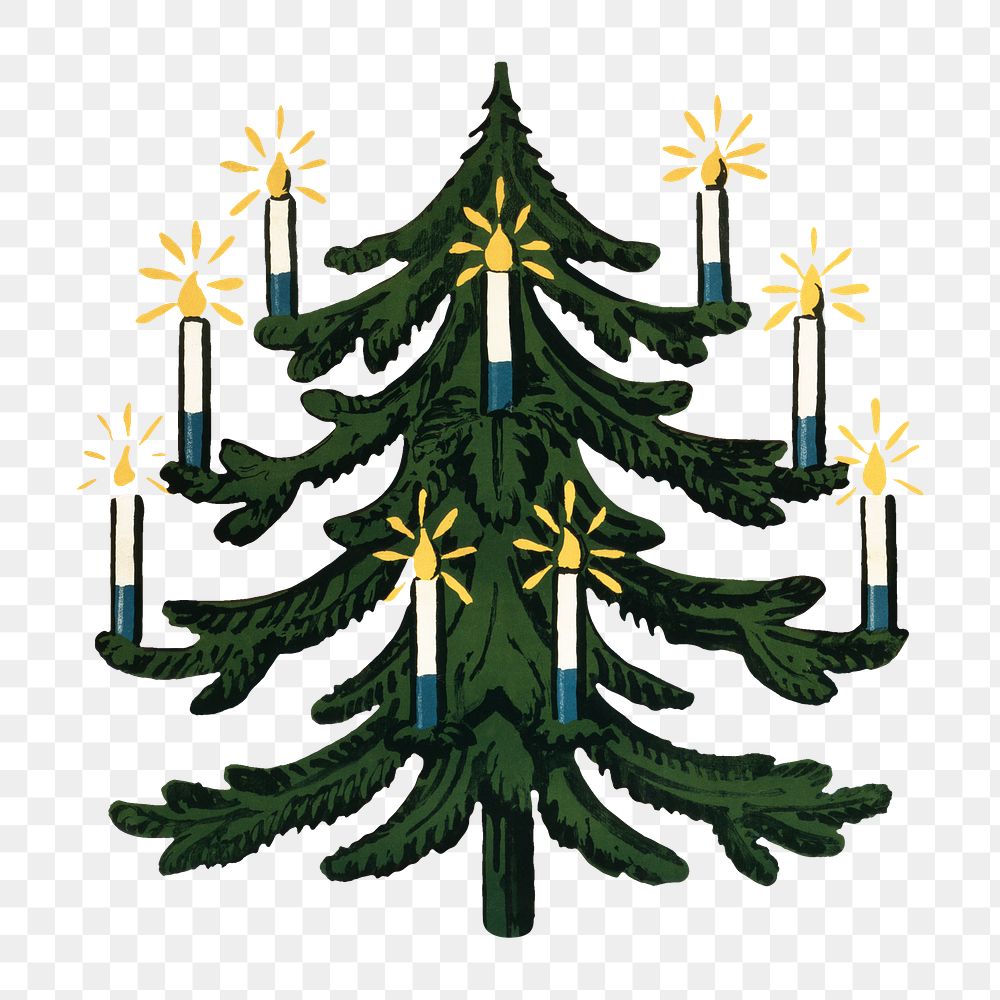 Christmas tree png festive sticker, transparent background.  Remixed by rawpixel.