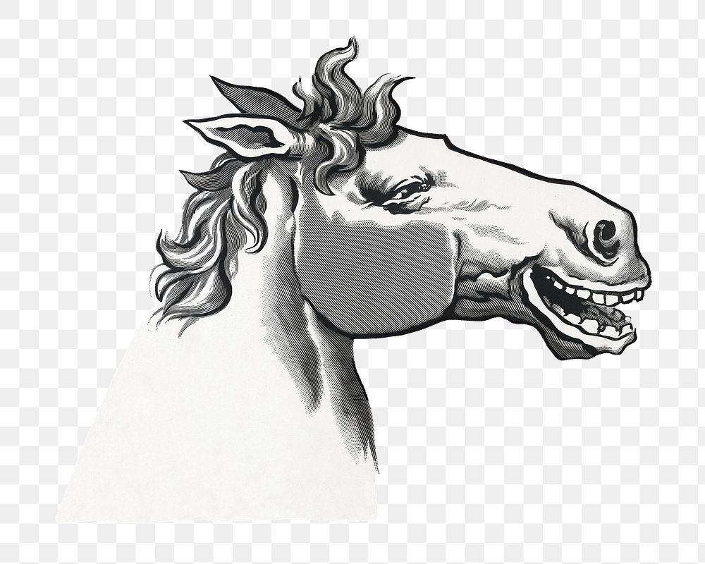 Laughing horse png sticker, It's enough to make a horse laugh, transparent background.  Remixed by rawpixel.