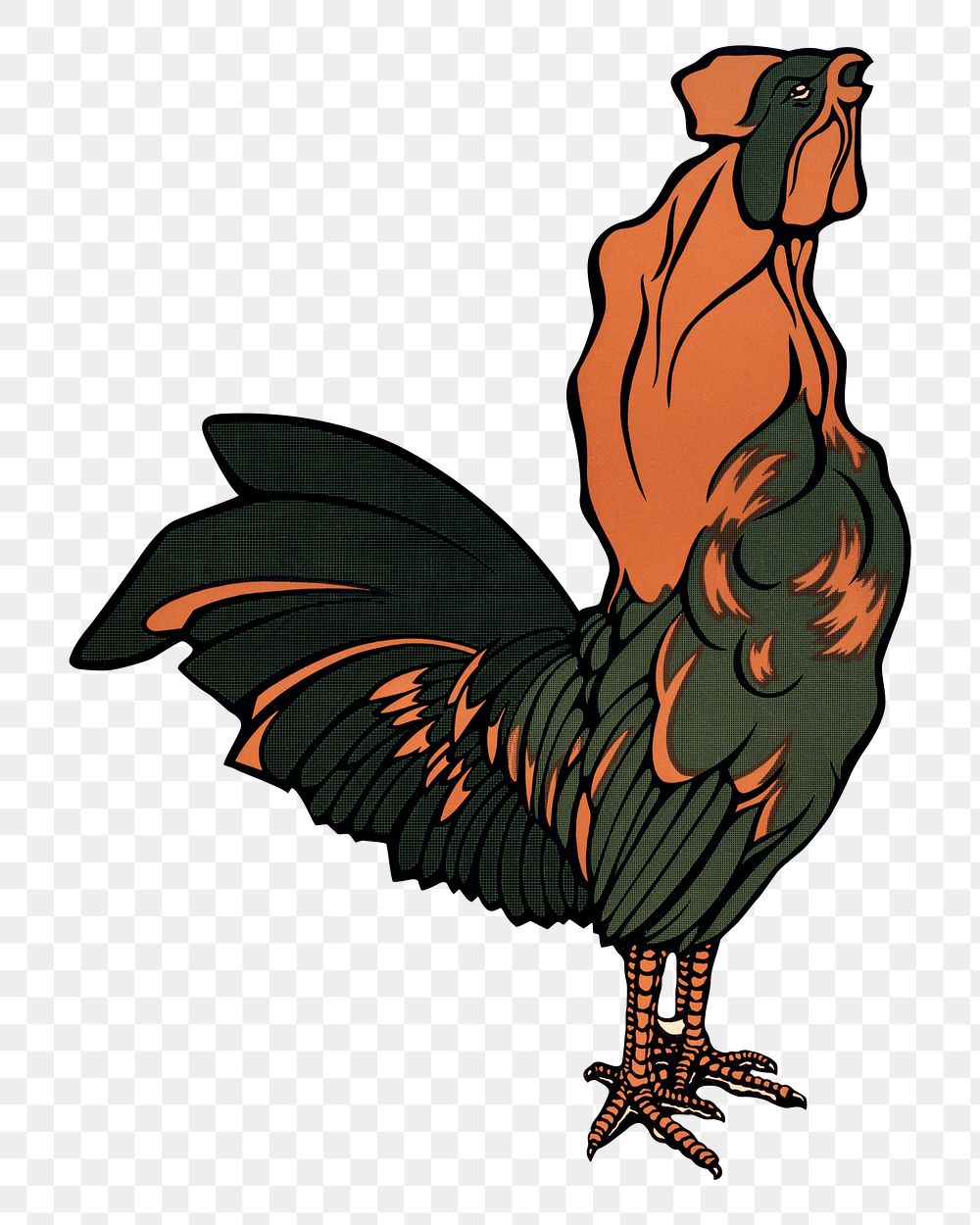 Vintage rooster png sticker, animal illustration, transparent background.  Remixed by rawpixel.