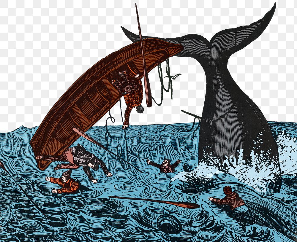 Whaling Days png New Jersey border, transparent background.  Remixed by rawpixel.