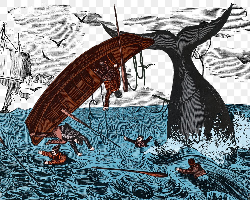 Whaling Days png New Jersey, transparent background.  Remixed by rawpixel.