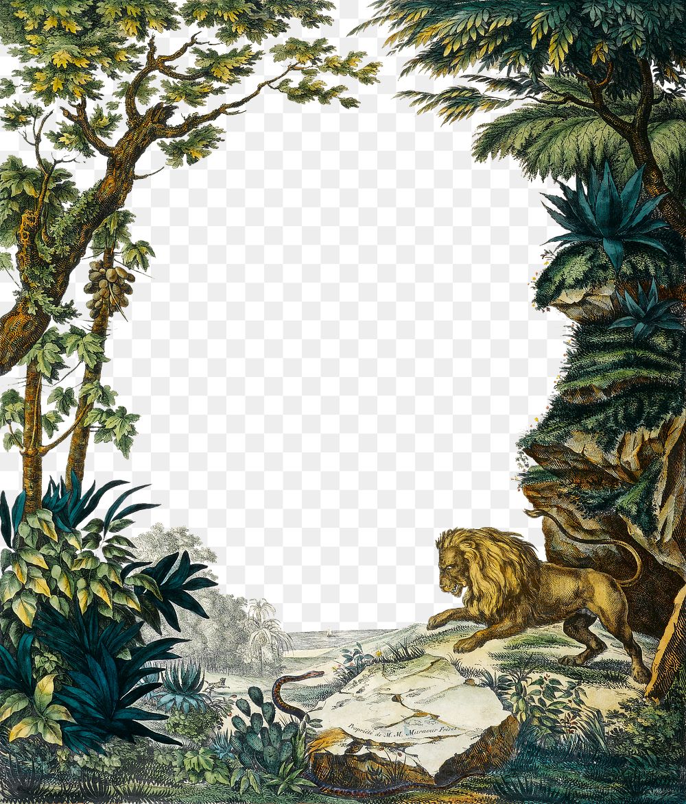 Vintage forest frame png, vintage lion on transparent background.   Remixed by rawpixel.