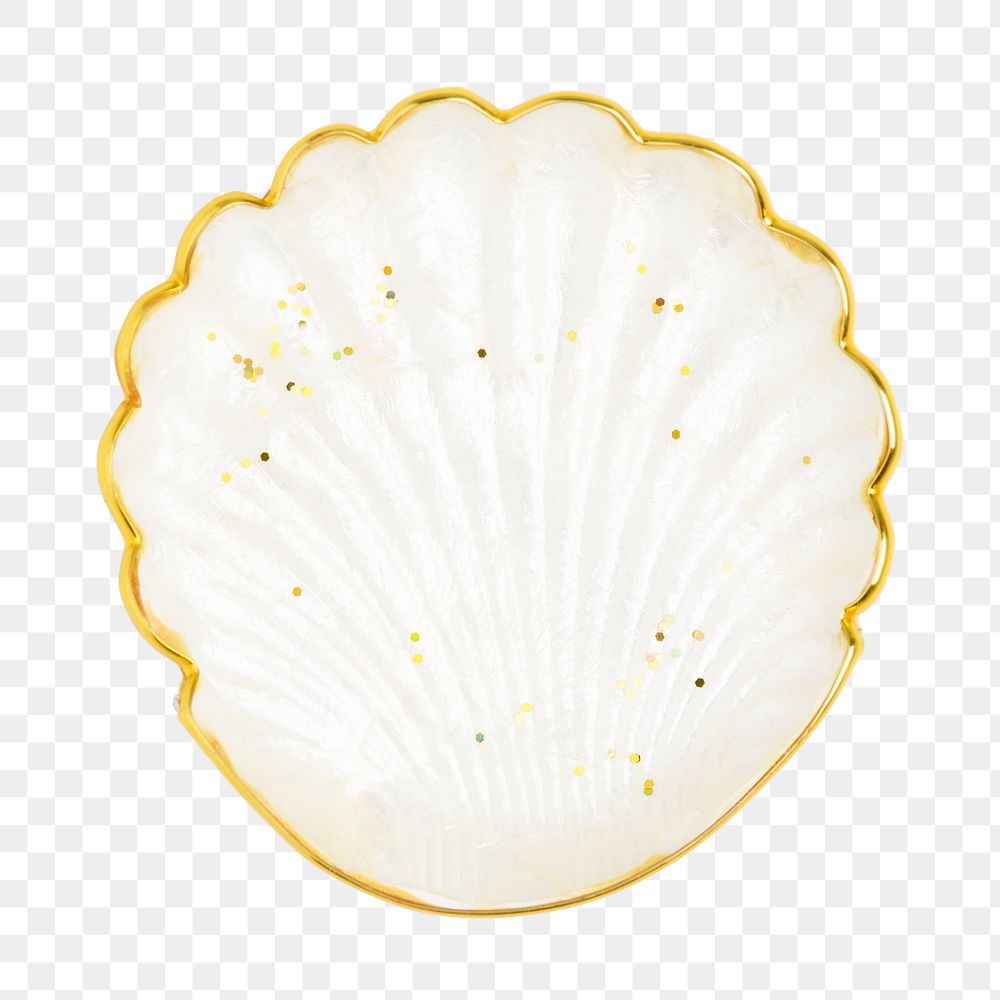 Shell plate png in transparent background