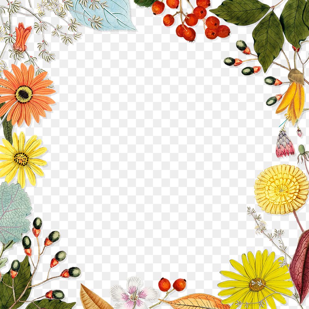 Floral frame png, transparent background