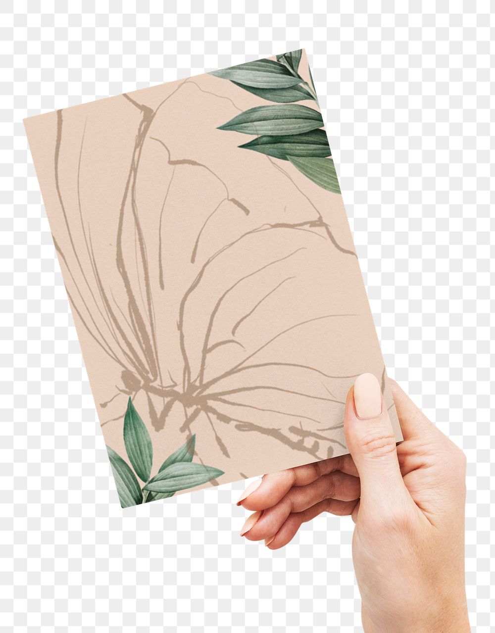 Floral invitation card  png sticker, transparent background