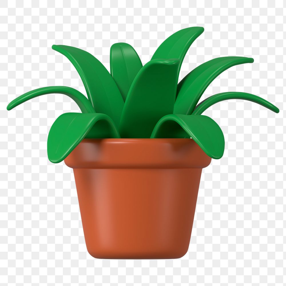 3D pot  png plant, green botanical illustration on transparent background