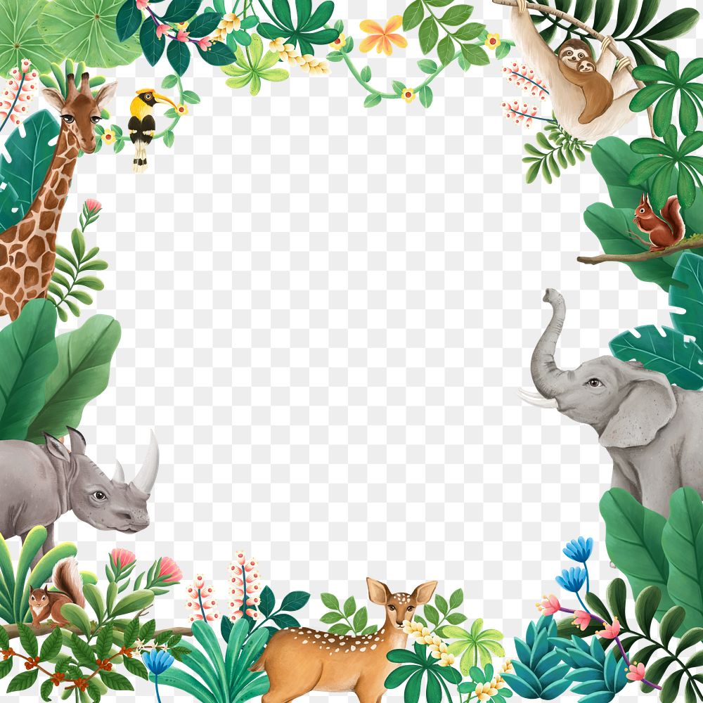 Jungle wildlife png frame, animal illustration, transparent background