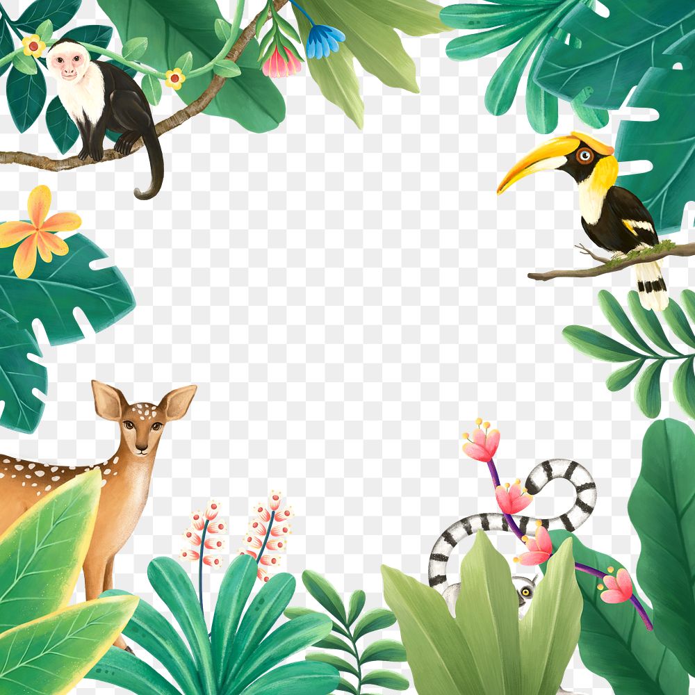 Tropical wildlife png frame, animal illustration, transparent background