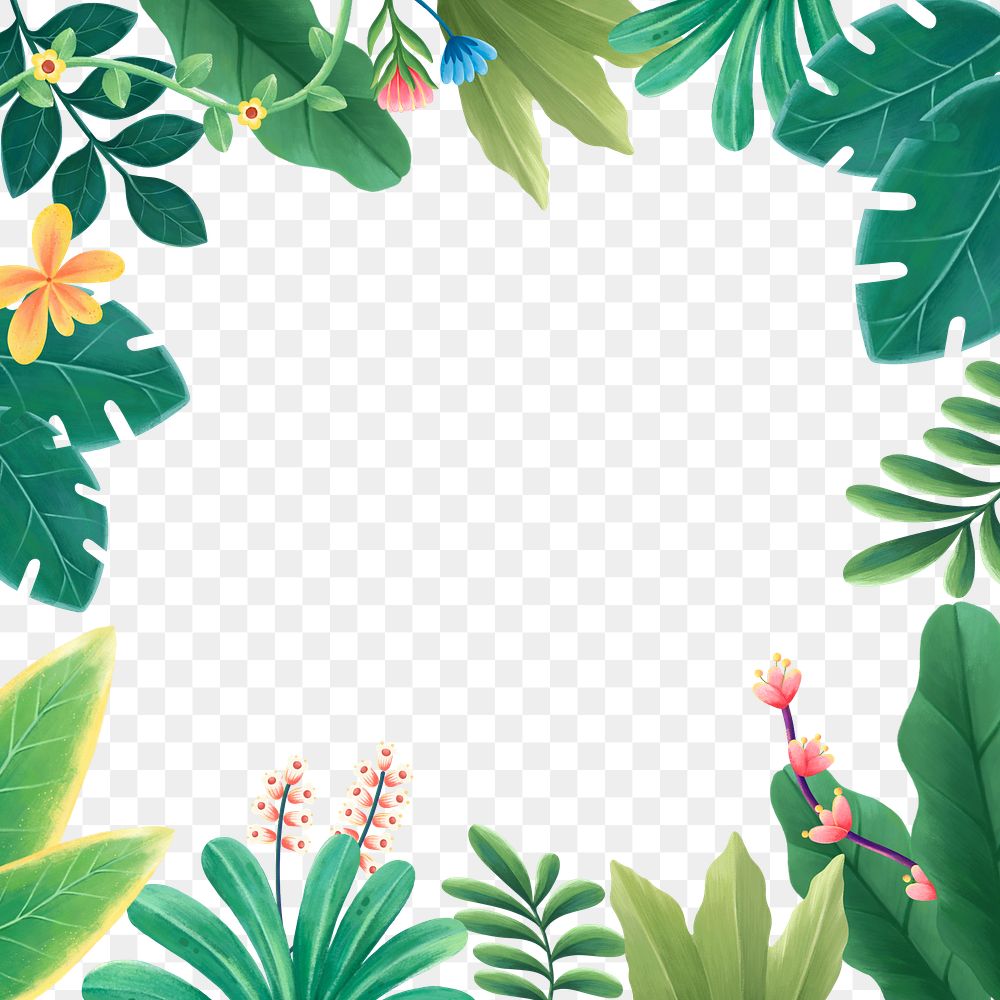 Tropical leaves png frame, botanical illustration, transparent background