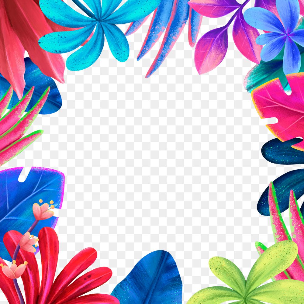 Colorful tropical png frame, botanical illustration, transparent background