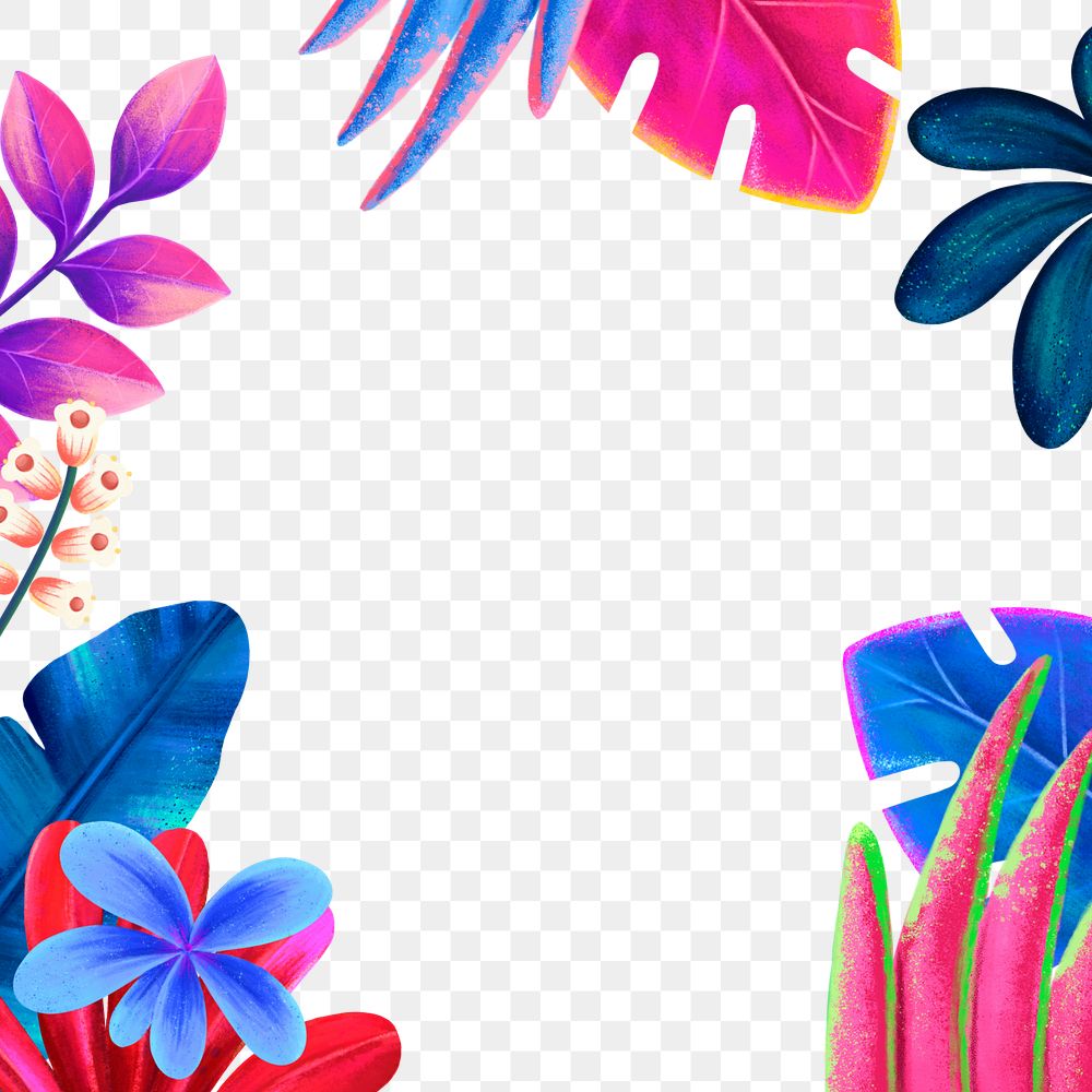 Colorful tropical png frame, botanical illustration, transparent background