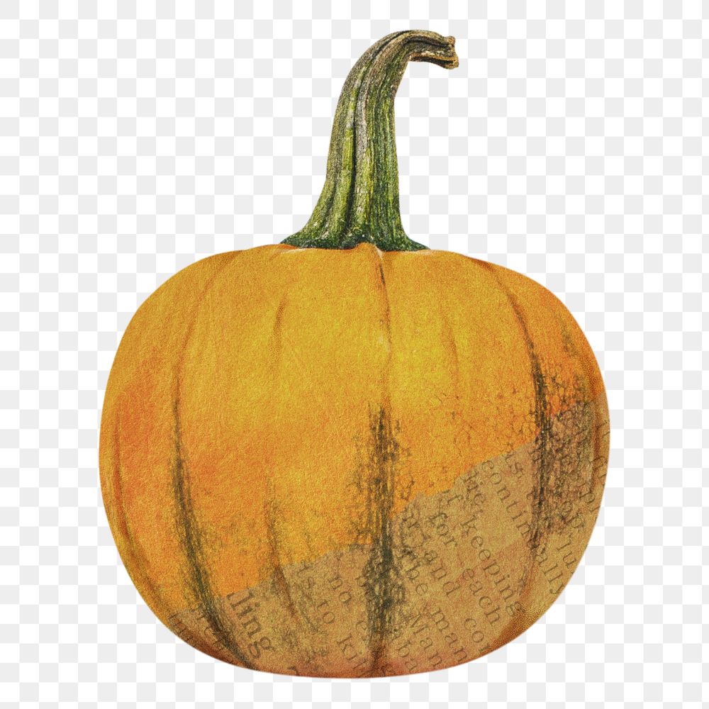 Autumn pumpkin png sticker, transparent background