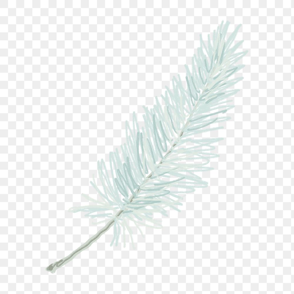 Green leaf png sticker, transparent background