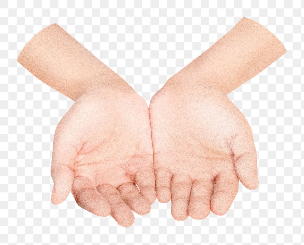 Praying hands png sticker, transparent background