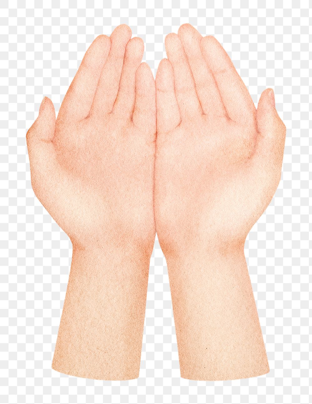 Praying hands png sticker, transparent background